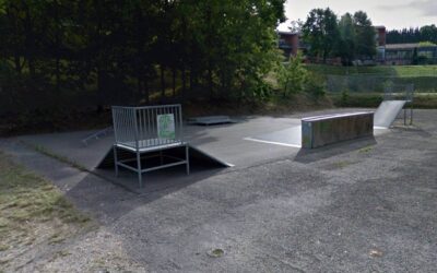 Skatepark de Lafrançaise