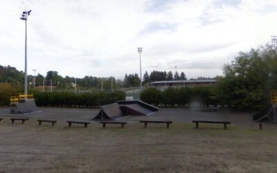 Skatepark de Riedisheim