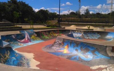 Skatepark de Champ-Fleuri à Saint-Denis