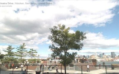 Castle Point Skatepark