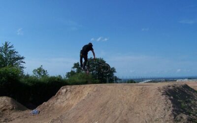 Champ de bosses de La Palmerie à Luc-la-Primaube