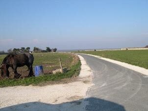 Ile de Ré