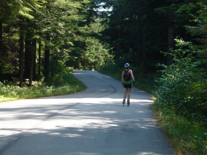 Lower seymour Paved trail