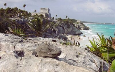 Piste cyclable Cancun – Tulum
