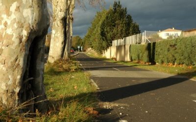 Piste cyclable de Clapiers