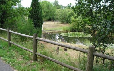 Piste cyclable de La-Flèche