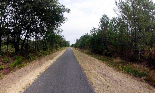 Piste cyclable de Lège-Cap-Ferret