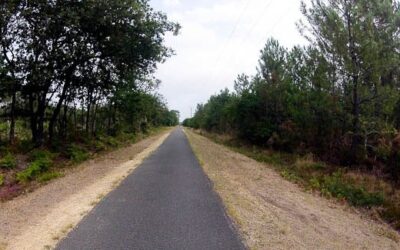 Piste cyclable de Lège-Cap-Ferret