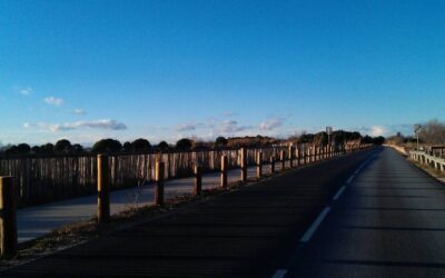 Piste cyclable de l&rsquo;Espiguette