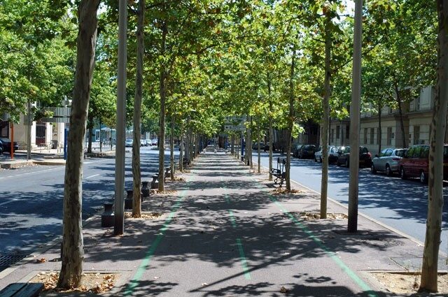 Piste cyclable de l’avenue Jacques Cartier à Montpellier