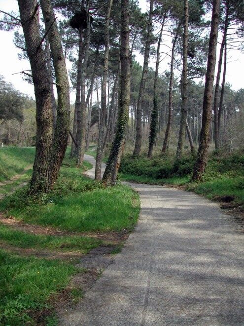Piste cyclable entre Pontenx-les-forges et Mimizan plage