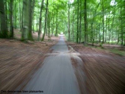 Pistes cyclables de la forêt de Compiègne