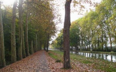Promenade Bérégovoy (aidez-nous à la placer)