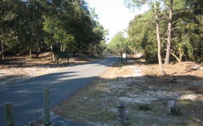 Route des Plages Hourtin – Carcans