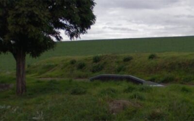 Skatepark de Chassagny