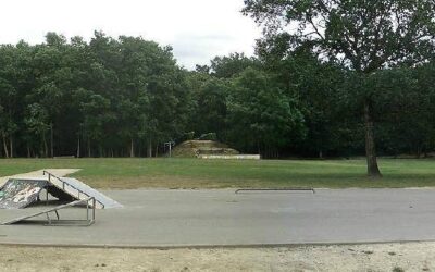 Skatepark de Lons