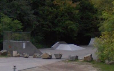 Skatepark de Millery