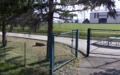 Skatepark de Saint-Maurice-sur-Dargoire