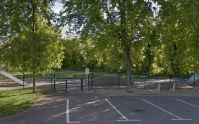 Skatepark de Vernaison