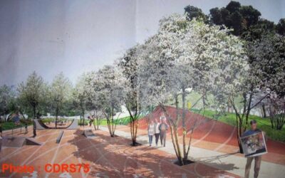 Skatepark des Batignolles