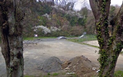 Skatepark des Rosaires à Plérin