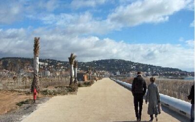 Voie Verte du Lido de Sète à Marseillan-Plage