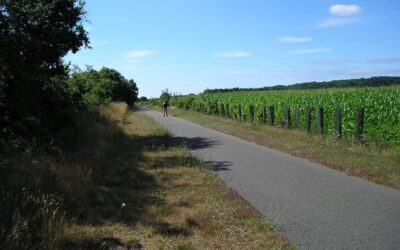 Voie verte Le Lude – Luché-Pringé