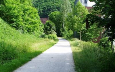 Voie verte de Molsheim à Romansviller