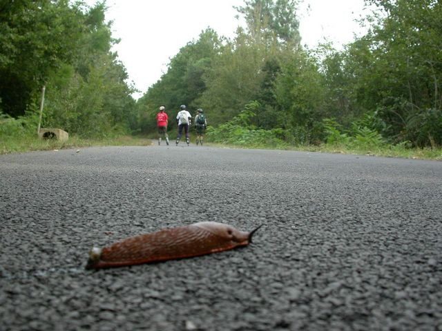 Voie verte de la « Galope Chopine »