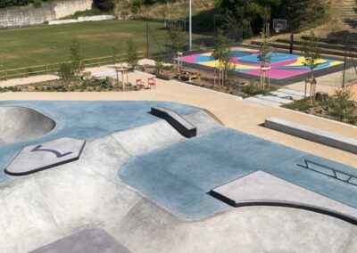 Skatepark de Millery